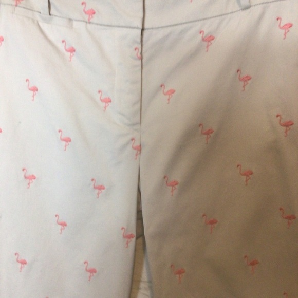 Talbots Signature Fit Flamingo Chinos - Picture 9 of 10